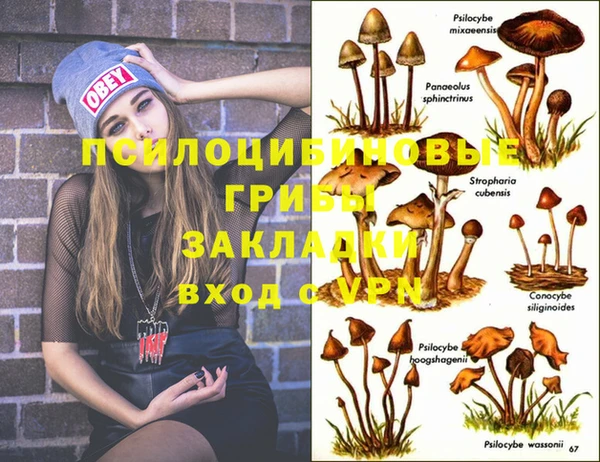 не бодяженный Алзамай