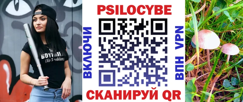 Псилоцибиновые грибы мицелий  Петрозаводск 