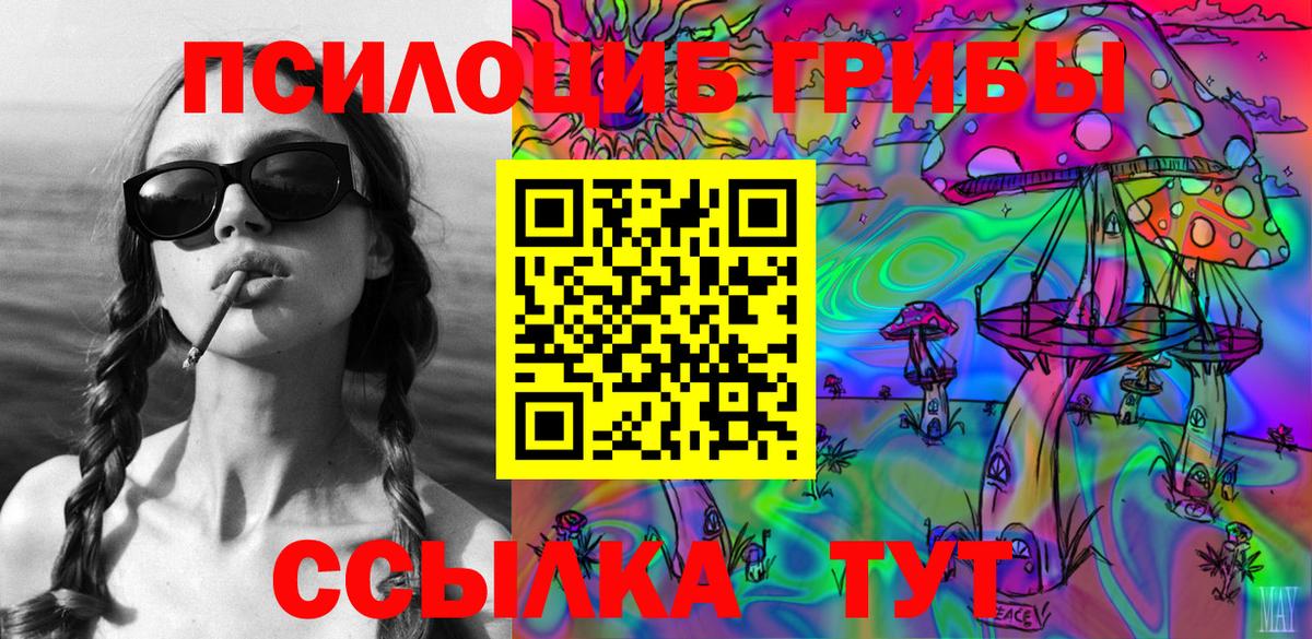 Псилоцибиновые грибы Psilocybe  Вход с VPN  Петрозаводск  Галлюциногенные грибы Psilocybine cubensis 