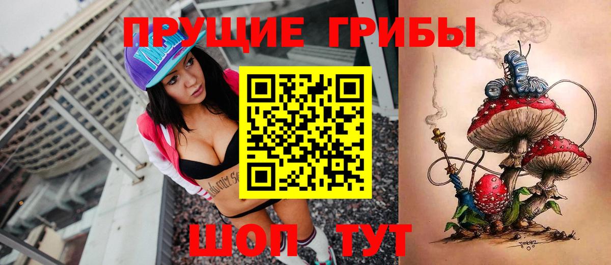 Псилоцибиновые грибы GOLDEN TEACHER Петрозаводск